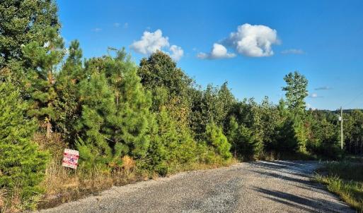 Photo #4 of Fort Drive, Pamplin, VA 3.2 acres