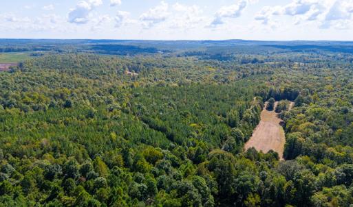 Photo #10 of Copper Mine, Dillwyn, VA 65.0 acres