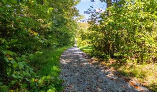 Photo #11 of Copper Mine, Dillwyn, VA 65.0 acres