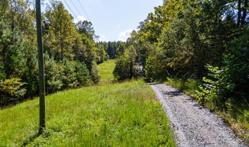 Photo #2 of Copper Mine, Dillwyn, VA 65.0 acres