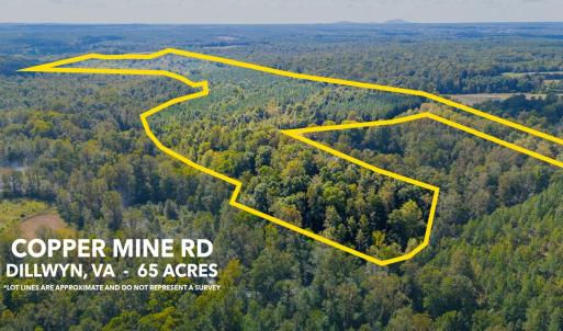 Photo #7 of Copper Mine, Dillwyn, VA 65.0 acres