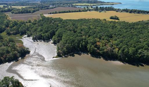 Photo #3 of HUNTINGTON LANE, CAPE CHARLES, VA 39.1 acres