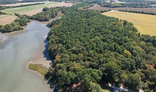 Photo #8 of HUNTINGTON LANE, CAPE CHARLES, VA 39.1 acres