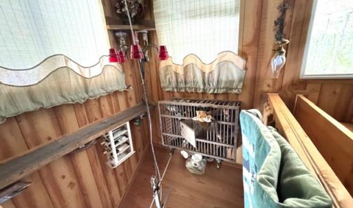 Photo #11 of 362 Cabin Lane, Gladstone, VA 12.2 acres