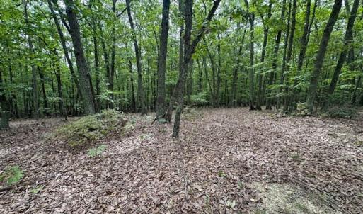 Photo #12 of 362 Cabin Lane, Gladstone, VA 12.2 acres