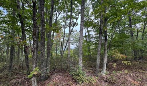 Photo #13 of 362 Cabin Lane, Gladstone, VA 12.2 acres
