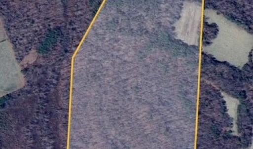 Photo #2 of Thomas Jefferson HWY, Charlotte Court House, VA 61.2 acres