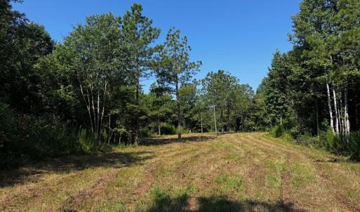 Photo #12 of 608 Old Shore RD, Blackstone, VA 23.2 acres