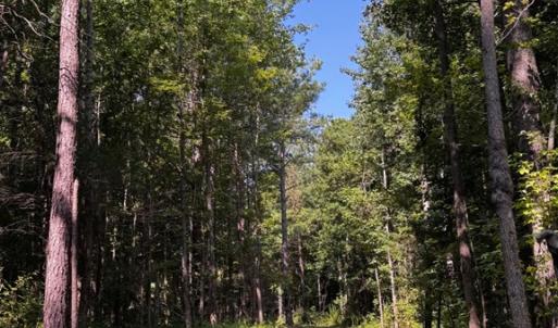 Photo #13 of 608 Old Shore RD, Blackstone, VA 23.2 acres