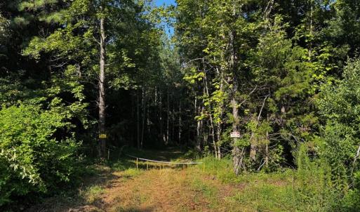 Photo #14 of 608 Old Shore RD, Blackstone, VA 23.2 acres