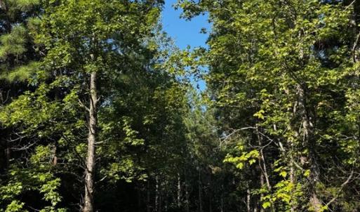 Photo #15 of 608 Old Shore RD, Blackstone, VA 23.2 acres