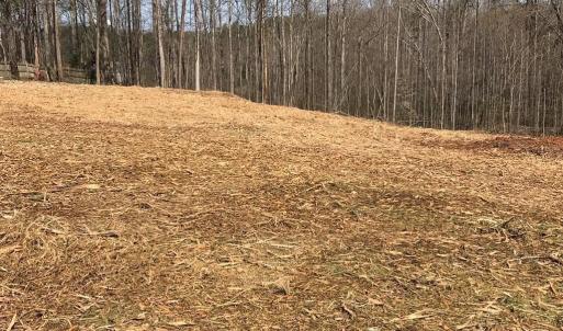 Photo #5 of Milnwood, Farmville, VA 1.4 acres