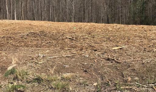 Photo #6 of Milnwood, Farmville, VA 1.4 acres