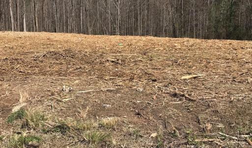 Photo #6 of Milnwood, Farmville, VA 1.4 acres