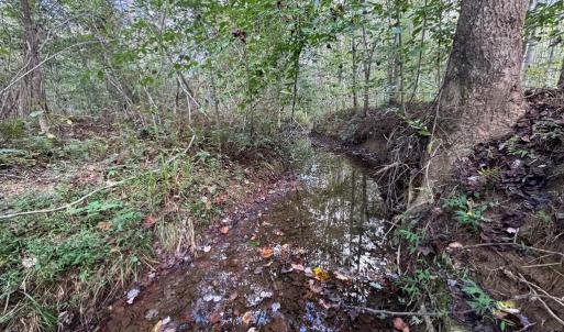 Photo #10 of Mountain Ridge Lane, Shipman, VA 9.3 acres