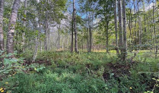 Photo #11 of Mountain Ridge Lane, Shipman, VA 9.3 acres
