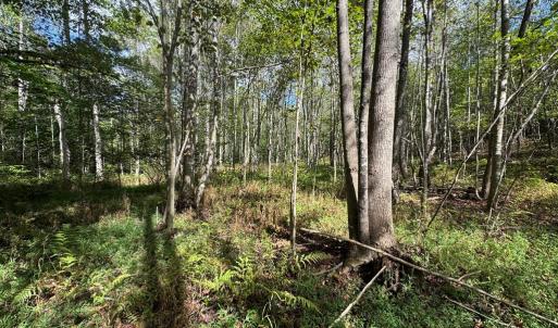 Photo #12 of Mountain Ridge Lane, Shipman, VA 9.3 acres
