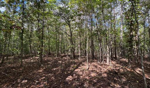Photo #3 of Mountain Ridge Lane, Shipman, VA 9.3 acres