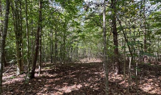 Photo #4 of Mountain Ridge Lane, Shipman, VA 9.3 acres