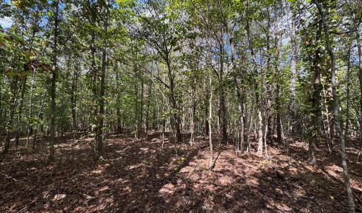 Photo #5 of Mountain Ridge Lane, Shipman, VA 9.3 acres