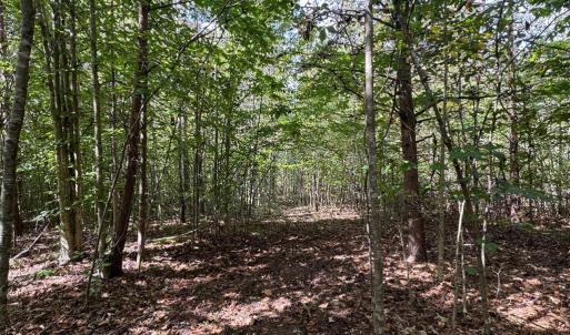 Photo #6 of Mountain Ridge Lane, Shipman, VA 9.3 acres