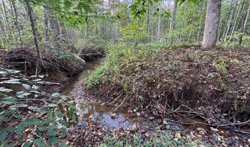 Photo #9 of Mountain Ridge Lane, Shipman, VA 9.3 acres