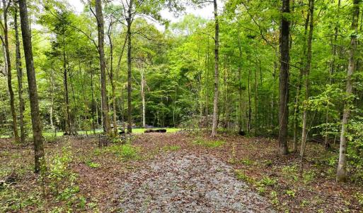 Photo #2 of 7 Walkers Lane, Chase City, VA 10.0 acres