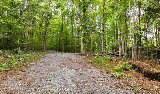 Photo #3 of 7 Walkers Lane, Chase City, VA 10.0 acres