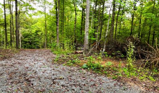 Photo #4 of 7 Walkers Lane, Chase City, VA 10.0 acres