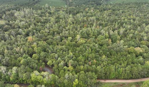 Photo #8 of 7 Walkers Lane, Chase City, VA 10.0 acres