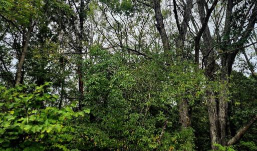 Photo #2 of Wildflower Lane, Dillwyn, VA 10.2 acres