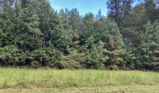 Photo #14 of 634 Liberty Rd., Alberta, VA 3.7 acres