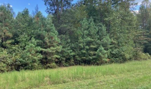 Photo #7 of 634 Liberty Rd., Alberta, VA 3.7 acres