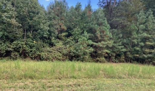 Photo #8 of 634 Liberty Rd., Alberta, VA 3.7 acres