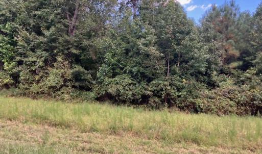 Photo #9 of 634 Liberty Rd., Alberta, VA 3.7 acres