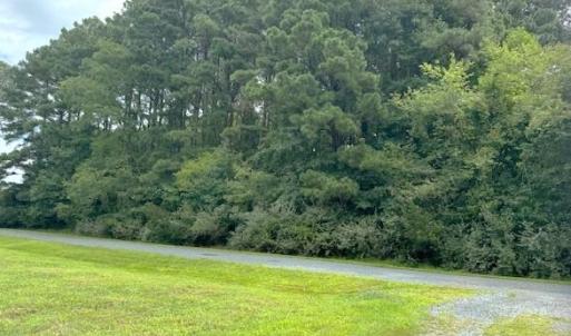 Photo #3 of 227 SMUGGLERS WAY, GREENBACKVILLE, VA 9,750.0 acres