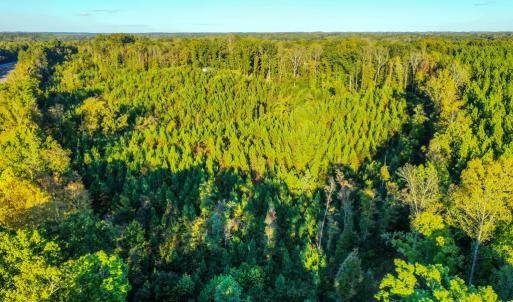 Photo #11 of Old Ridge Rd, Farmville, VA 18.0 acres