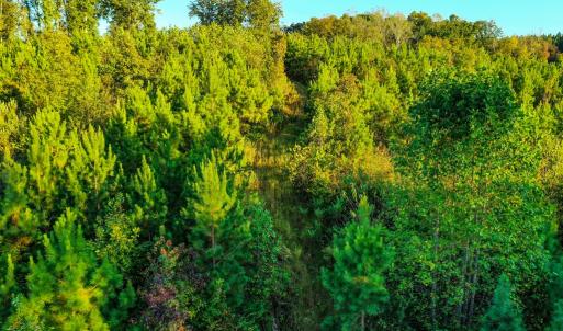 Photo #13 of Old Ridge Rd, Farmville, VA 18.0 acres