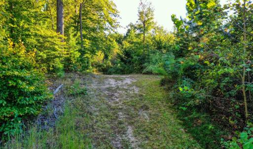 Photo #18 of Old Ridge Rd, Farmville, VA 18.0 acres