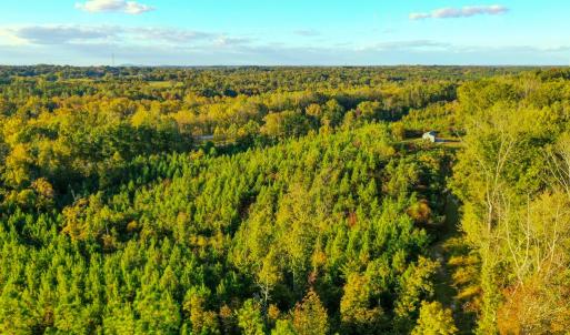 Photo #10 of Old Ridge Rd, Farmville, VA 18.0 acres