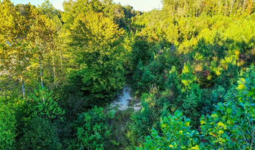 Photo #12 of Old Ridge Rd, Farmville, VA 18.0 acres