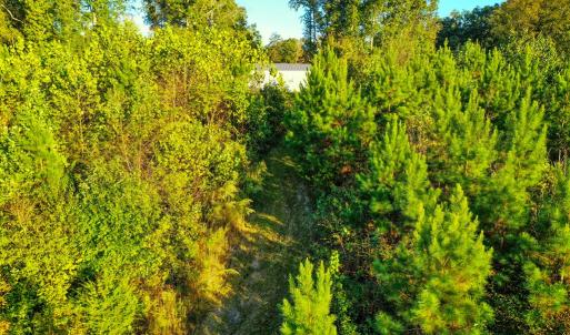 Photo #14 of Old Ridge Rd, Farmville, VA 18.0 acres