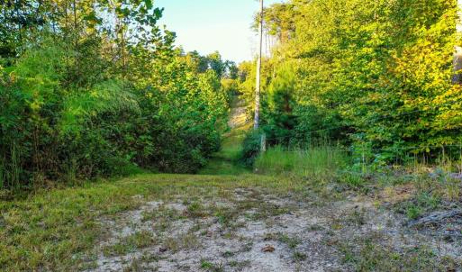 Photo #19 of Old Ridge Rd, Farmville, VA 18.0 acres