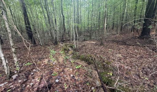 Photo #10 of Westpoint Stevens Rd, Drakes Branch, VA 13.5 acres
