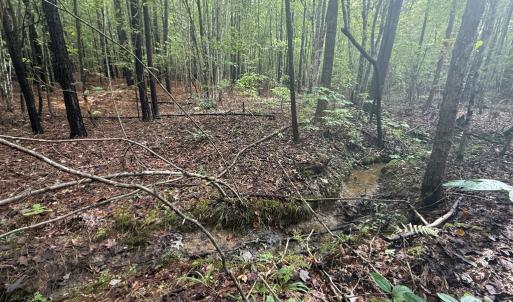 Photo #7 of Westpoint Stevens Rd, Drakes Branch, VA 13.5 acres