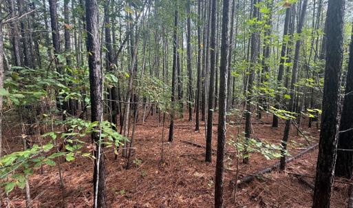 Photo #4 of Westpoint Stevens Rd, Drakes Branch, VA 13.5 acres