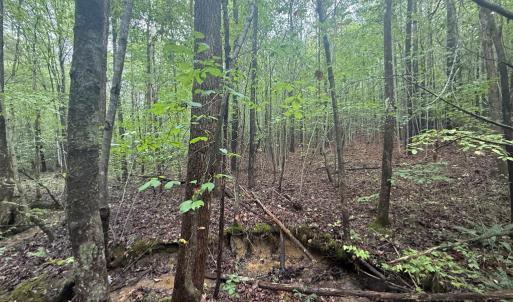 Photo #12 of Westpoint Stevens Rd, Drakes Branch, VA 13.5 acres