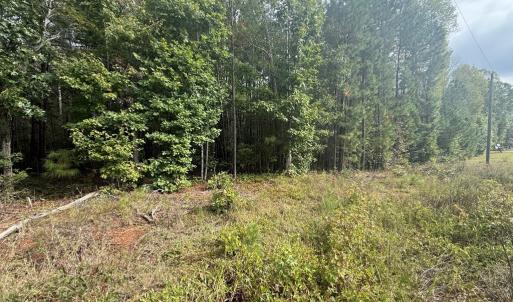 Photo #2 of Westpoint Stevens Rd, Drakes Branch, VA 13.5 acres