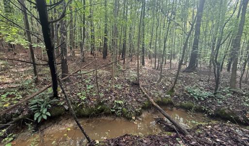 Photo #8 of Westpoint Stevens Rd, Drakes Branch, VA 13.5 acres