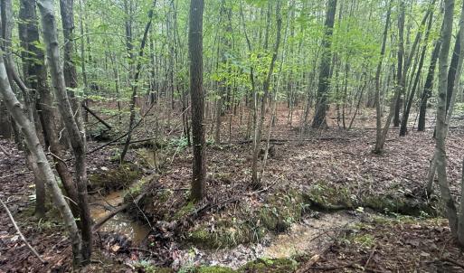 Photo #9 of Westpoint Stevens Rd, Drakes Branch, VA 13.5 acres